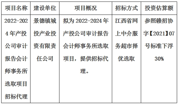 2022-2024年產(chǎn)投公司審計(jì)報(bào)告會(huì)計(jì)師事務(wù)所選取項(xiàng)目招標(biāo)代理計(jì)劃公告