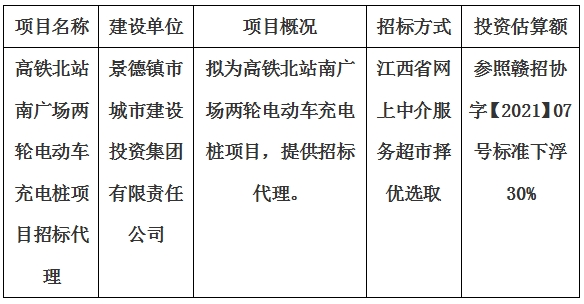 高鐵北站南廣場兩輪電動車充電樁項目招標代理計劃公告