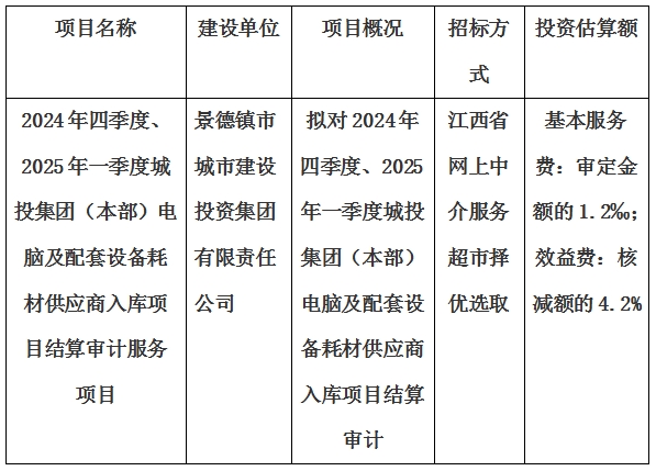 2024年四季度、2025年一季度城投集團（本部）電腦及配套設備耗材供應商入庫項目結算審計服務項目計劃公告