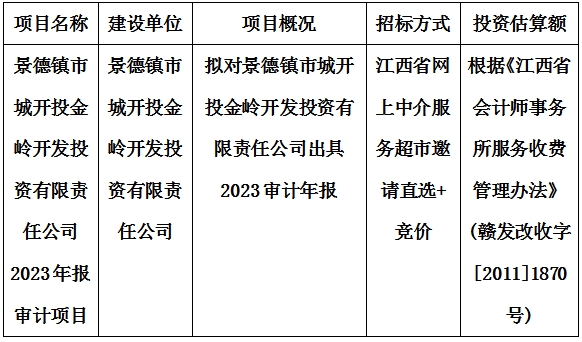 景德鎮市城開投金嶺開發投資有限責任公司2023年報審計項目計劃公告